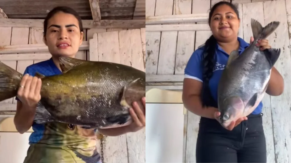 É de rio ou de viveiro? Influenciadora viraliza ao explicar diferença entre tambaquis; veja vídeo