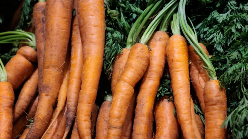 Inflação sem controle? Preço da cenoura dispara em Rio Branco e tendência é de alta para 2025