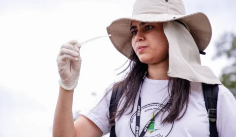 Dengue: DF registra redução de 95,4% nos casos em 2025