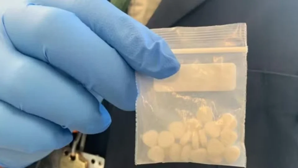 Nova droga mais potente que morfina gera alerta; Entenda os riscos dos ‘nitazenos’