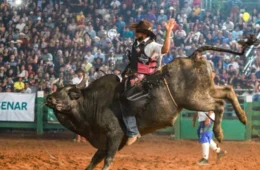 Rodeio de São Sebastião oferece prêmio de R$ 10 mil e promete agitar Epitaciolândia; saiba mais