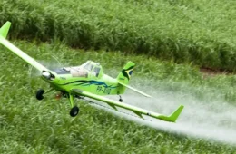Governo Lula bate recorde em liberação de agrotóxicos em 2024; veja dados dos últimos 20 anos