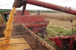 Após atingir marca de U$ 21 milhões, soja lidera exportações no Acre em 2024