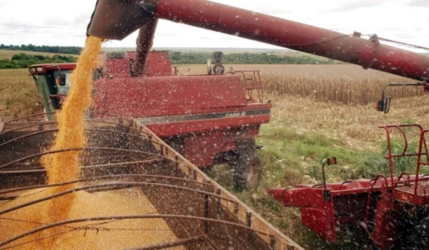 Após atingir marca de U$ 21 milhões, soja lidera exportações no Acre em 2024