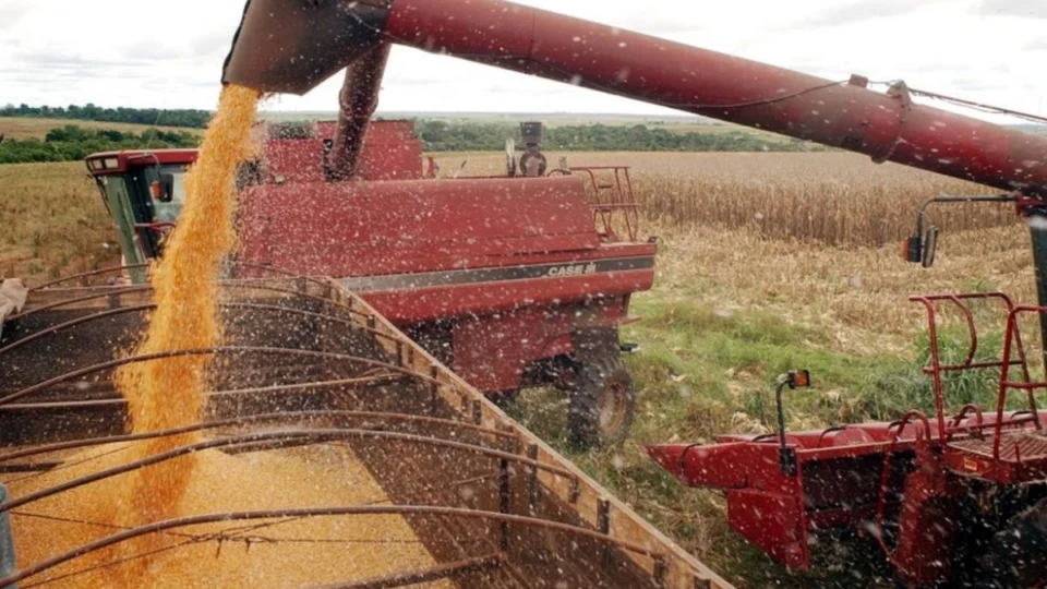 Após atingir marca de U$ 21 milhões, soja lidera exportações no Acre em 2024