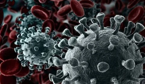 Casos de Covid-19 crescem no Amazonas em 2025; confira lista dos principais sintomas