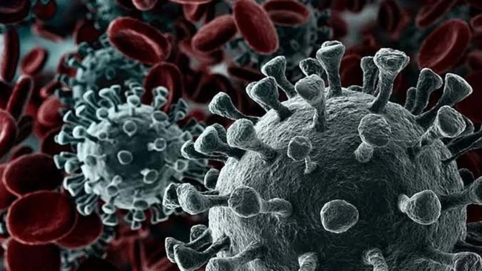 Casos de Covid-19 crescem no Amazonas em 2025; confira lista dos principais sintomas