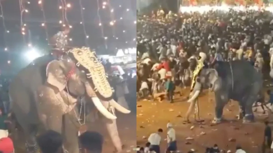 Elefante enfurecido fere pessoas gravemente durante festival na Índia; veja vídeo