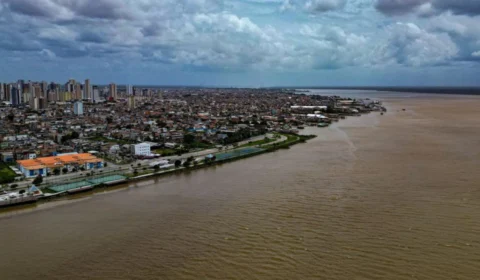 COP 30: saiba qual o mascote do evento sobre mudanças climáticas em Belém