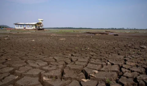 Seca 2025: turismo resiste à estiagem na Amazônia e ao colapso ambiental