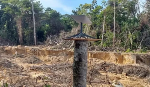MPF investiga uso de Starlink, empresa de Elon Musk, em garimpos ilegais na Amazônia e falta de verificação rigorosa