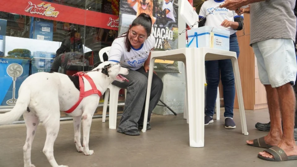 Manaus tem campanha de vacinação antirrábica em cães e gatos; veja locais e datas