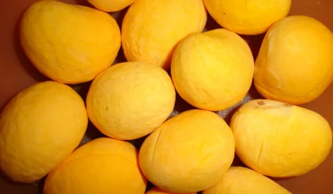 Lula sanciona lei para estimular a produção de pequi e frutos do Cerrado