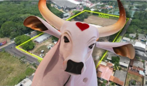 Terreno leiloado do Boi Garantido vira sede de instituto em Parintins; confira