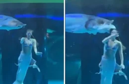 VÍDEO: Peixe gigante engole cabeça de ‘sereia’ e assusta turistas; final alivia tensão