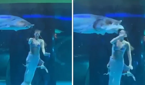 VÍDEO: Peixe gigante engole cabeça de ‘sereia’ e assusta turistas; final alivia tensão