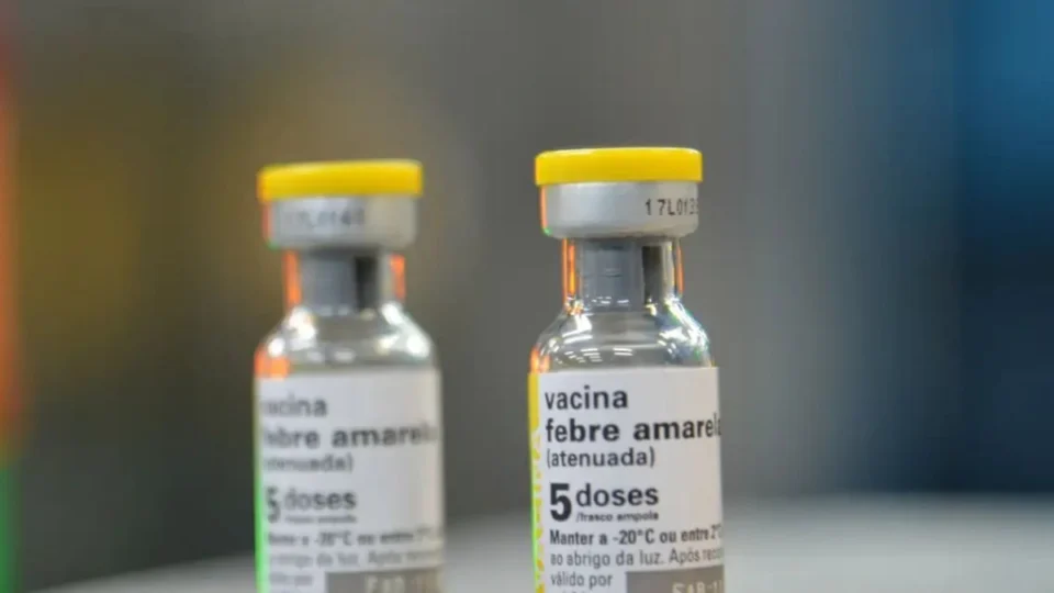 Saúde alerta para aumento de casos de febre amarela em quatro estados; saiba quais