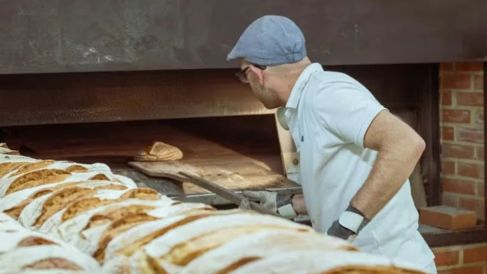 Sonhando com um novo emprego? Sine Roraima oferece 72 vagas nesta quinta (13); veja como concorrer