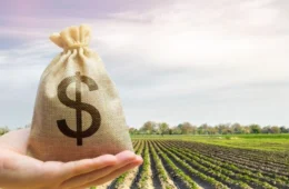 Haddad defende ‘Planos Safras robustos’ como solução para alto preço de alimentos; veja