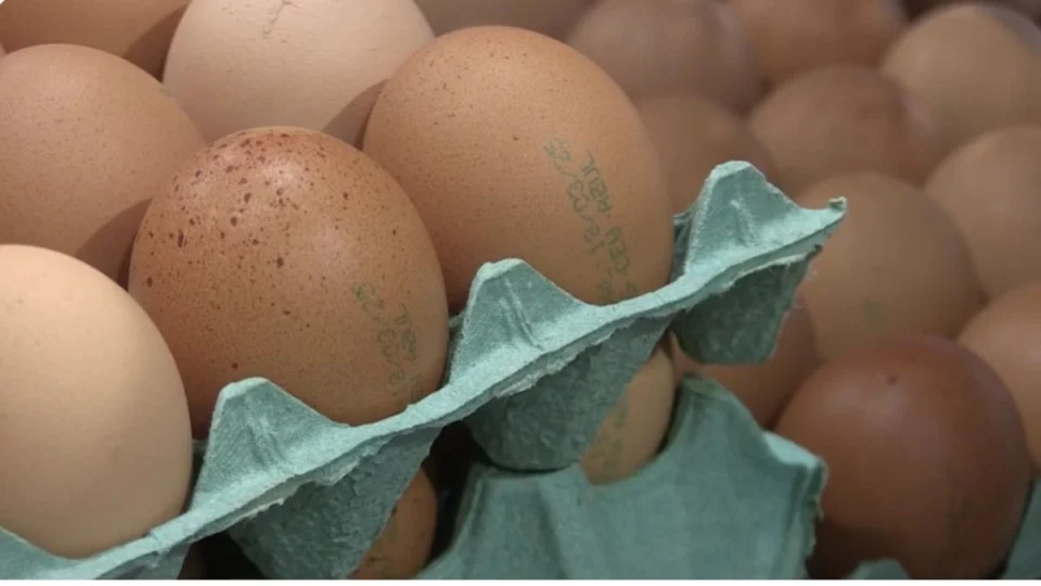 Agricultura revoga exigência de data de validade em cascas de ovos; veja o que falavam da medida