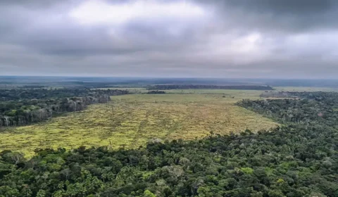 Acre lidera desmatamento ao redor de sítios arqueológicos e acende alerta sobre preservação na Amazônia