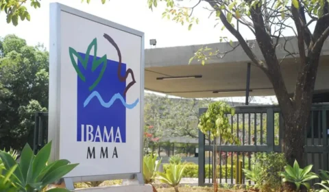 Ibama inicia processo seletivo para três especialidades; saiba salário e vagas