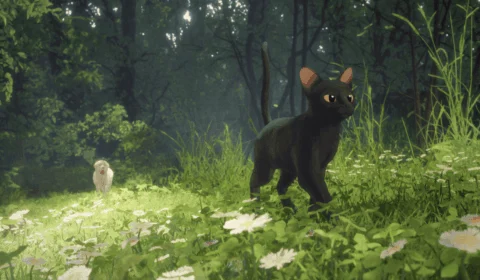 Filme ‘Flow’, um dos indicados ao Oscar, entra em cartaz no Cine Cultura, em Palmas