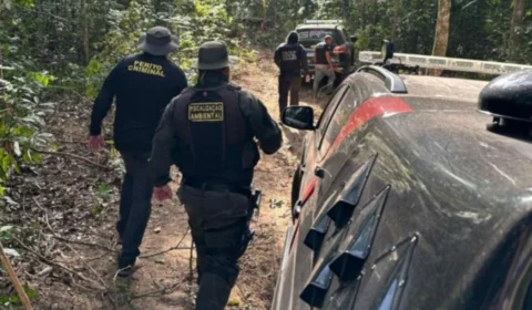 Polícia realiza operação contra crimes ambientais e ocupação irregular de terras em Roraima; entenda
