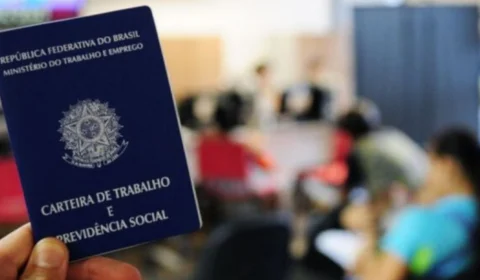 Brasileiro terá que trabalhar 149 dias em 2025 apenas para pagar impostos, aponta IBPT