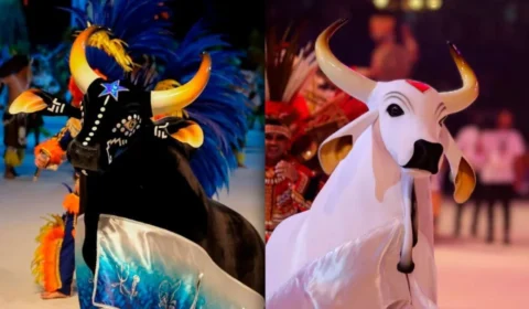 Parintins: ‘Ilha da Magia’ encanta com cultura, natureza e o maior festival folclórico do mundo