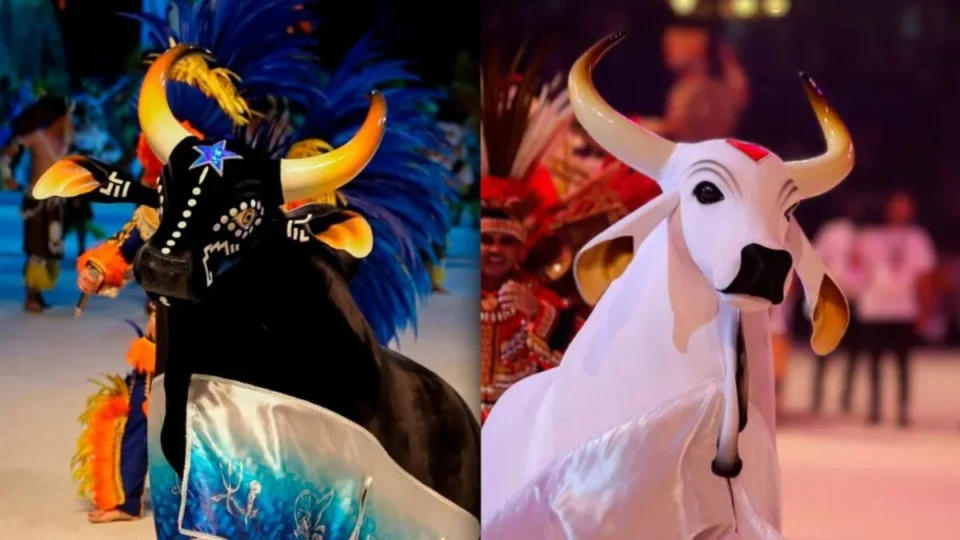 Parintins: ‘Ilha da Magia’ encanta com cultura, natureza e o maior festival folclórico do mundo