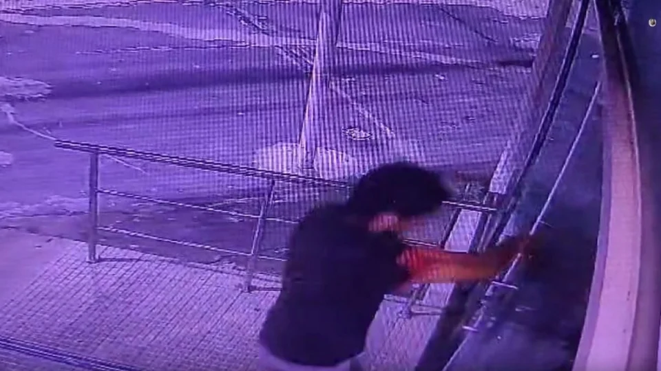 Homem arromba porta de drogaria em Manaus e furta ovos de Páscoa e outros produtos; veja vídeo