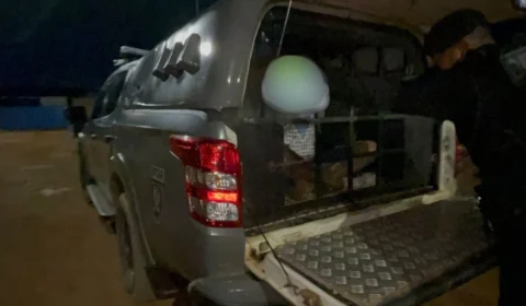 Mecânico é preso por ameaçar esposa grávida e atirar na casa do ex em Porto Velho