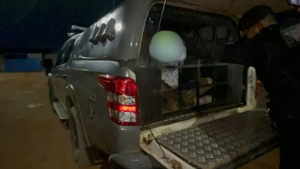 Mecânico é preso por ameaçar esposa grávida e atirar na casa do ex em Porto Velho