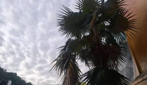 Previsão do tempo em Manaus hoje (27): veja como fica o clima na capital