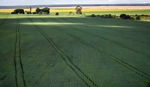 Inscrições para o Programa de Aquisição de Alimentos 2025/2026 estão abertas