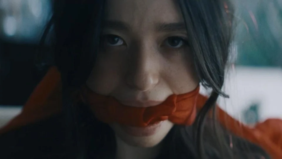 ‘Ainda Estou Aqui’ ganha um novo rival: conheça filme favorito ao Oscar