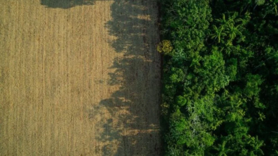 ‘CPI das Terras’ começa a investigar casos de grilagem em Roraima na segunda-feira (24)