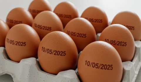 Data de validade na casca do ovo; entenda nova regra para venda do alimento