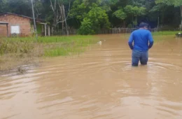 Famílias afetadas pela forte chuva em Porto Velho deixam casas em áreas de risco