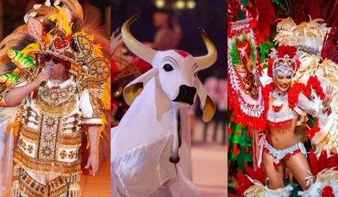 Garantido anuncia novos itens para Parintins 2025; David se despede e Lívia assume novo item