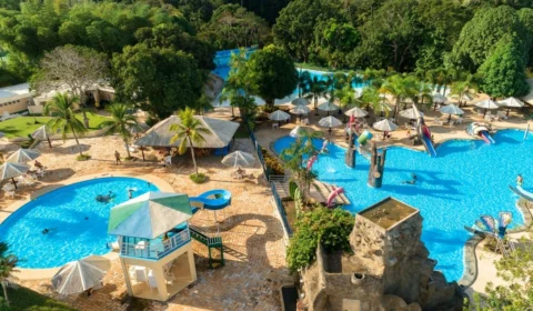 Conheça 5 lugares para visitar em Rondônia; veja lista