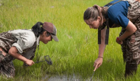 Dia do Agente de Defesa Ambiental: frases para homenagear esses profissionais