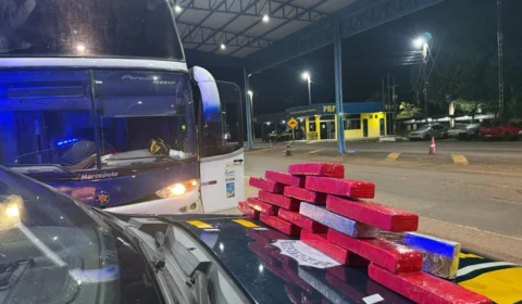 Mais de 12 kg de maconha são apreendidos em ônibus rodoviário em Guaraí (TO)