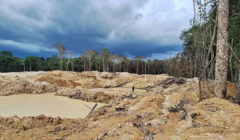 Terra Indígena Sete de Setembro, em Rondônia, já perdeu área equivalente a 109 campos de futebol para o garimpo