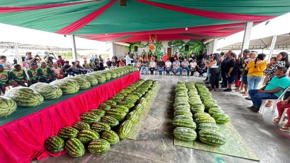 Normandia pode ganhar título oficial de ‘Capital da Festa da Melancia’ em Roraima; veja detalhes