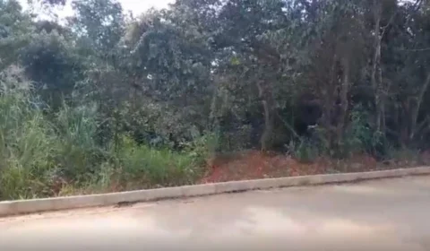 VÍDEO: homem é sequestrado e torturado em matagal na zona sul de Porto Velho