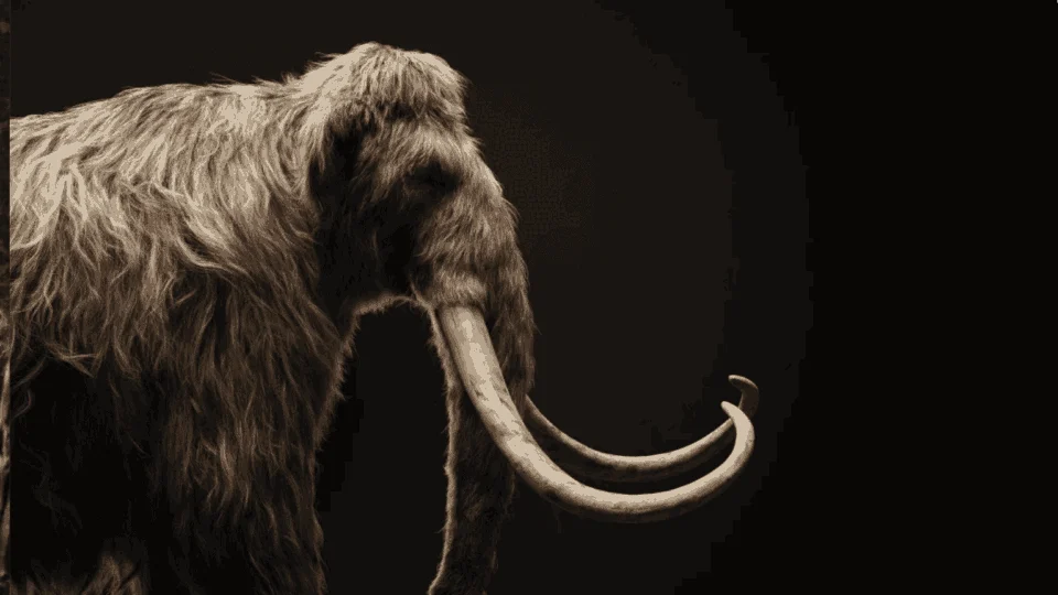 Parque dos Dinossauros ou Era do Gelo? Empresa fala na SXSW de trabalho para ressuscitar espécies extintas