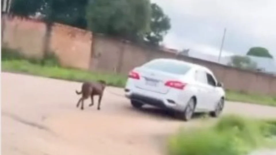 Motorista arrasta cachorro por rua em Porto Velho e gera revolta na Web; veja vídeo