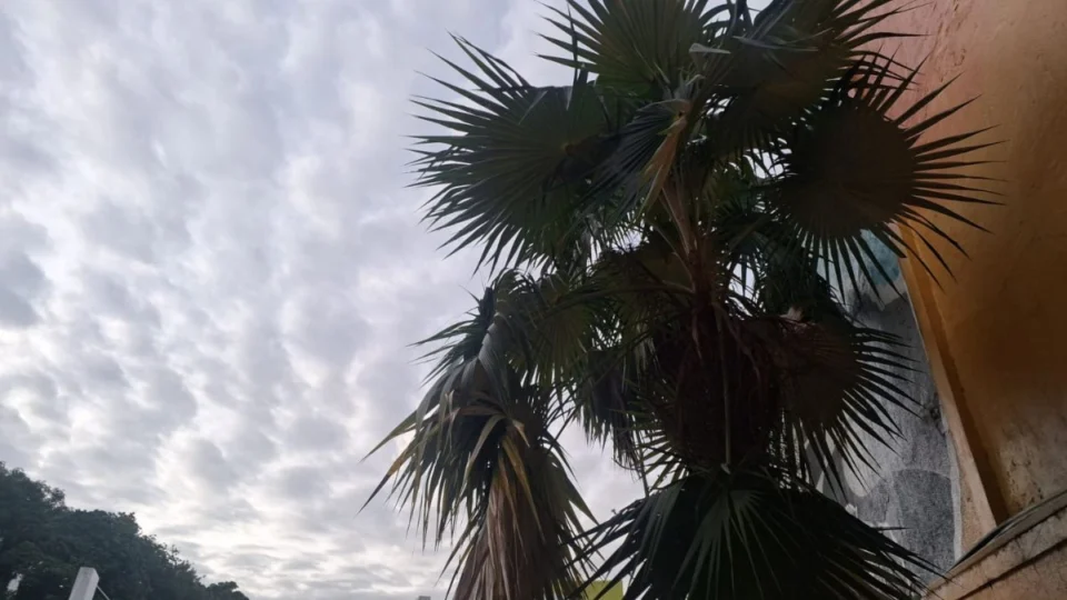 Previsão do tempo em Manaus hoje (17/03): veja como fica o clima na capital